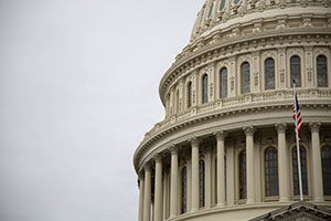 Top of Capitol Dome to the right and open sky to the left.