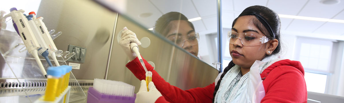 A SUNY Schenectady student in PPE works under the hood in the Biotechnology Laboratory and Research Facility.